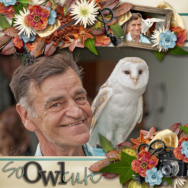 So owl cute