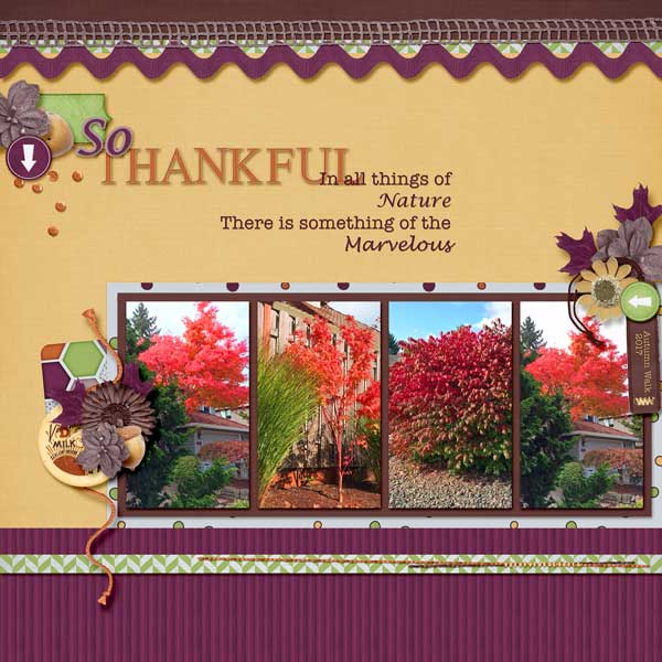 So Thankful
