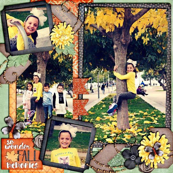 So WonderFall Memories