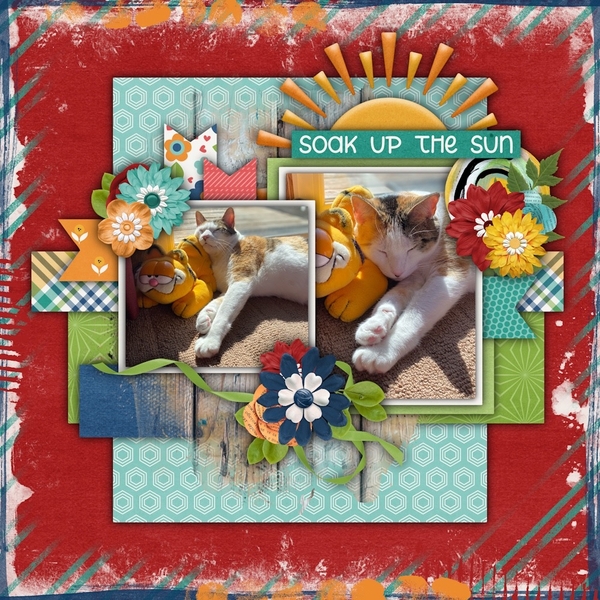 Soak Up the Sun