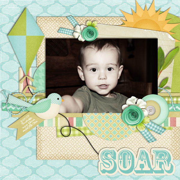 Soar
