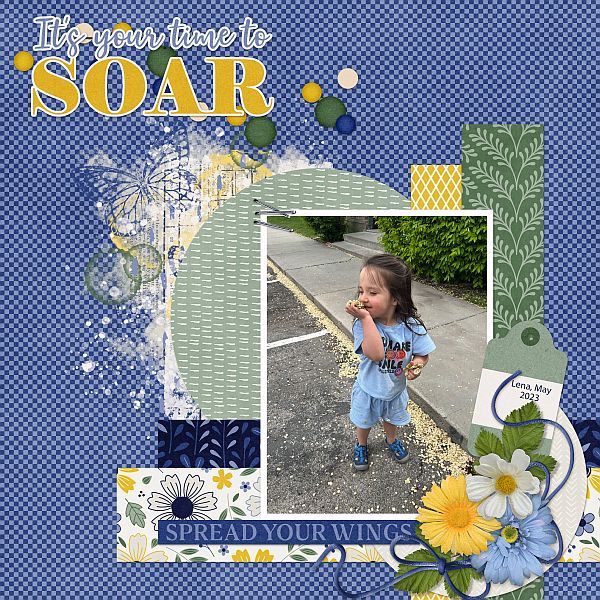 Soar