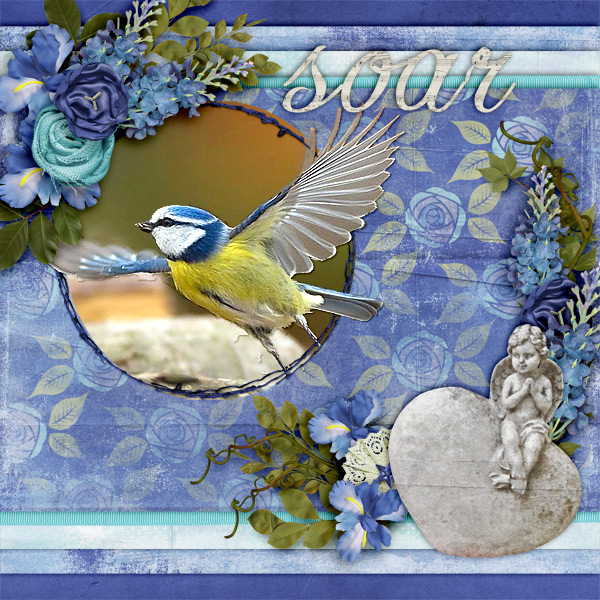 Soar5