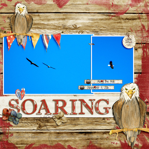 Soaring