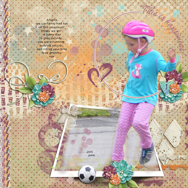 Soccer Fan