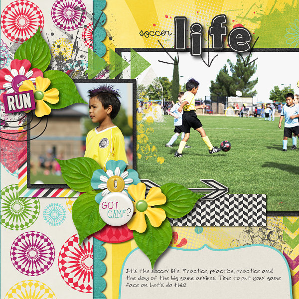 Soccer Life