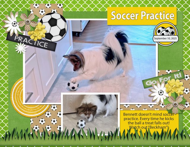 Soccer-Practice