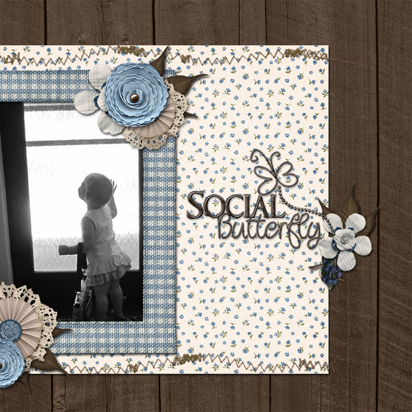 Social Butterfly