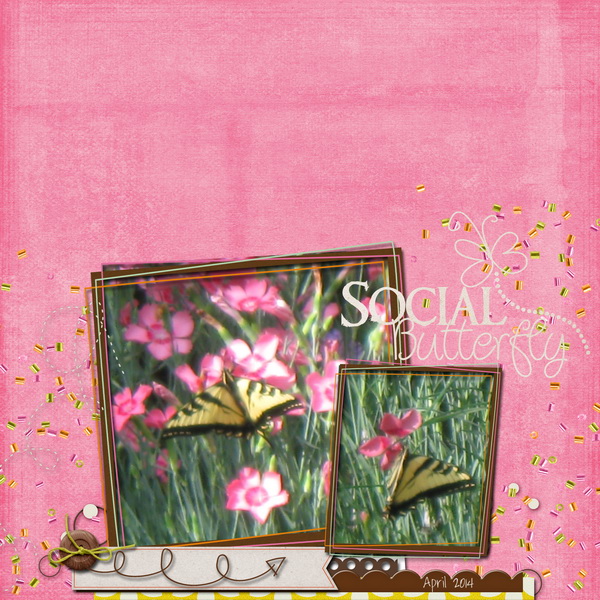 Social Butterfly