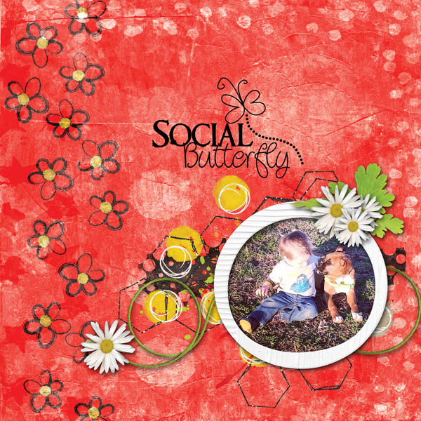 Social Butterfly