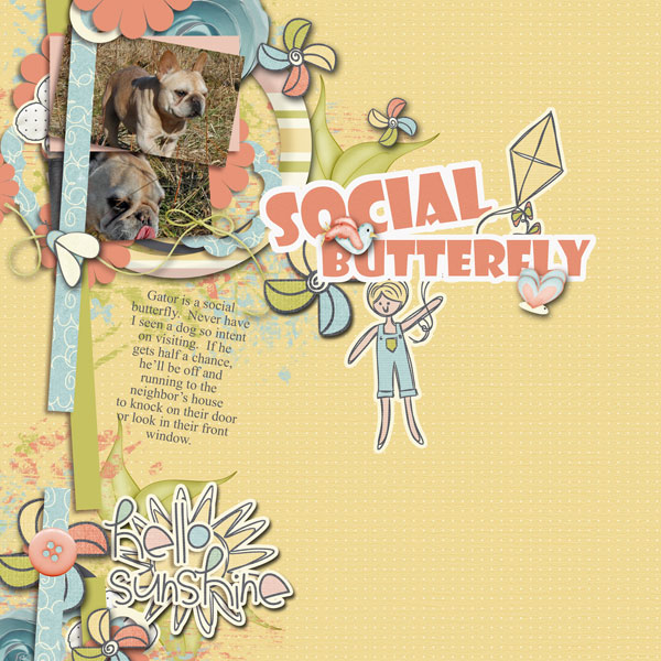 social butterfly