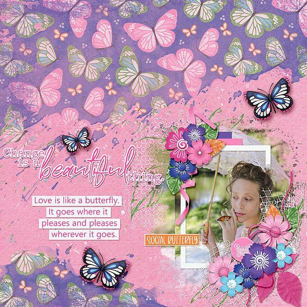 Social Butterfly