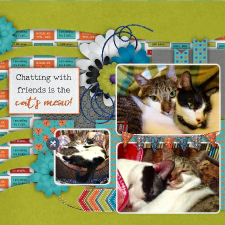 Social Creatures