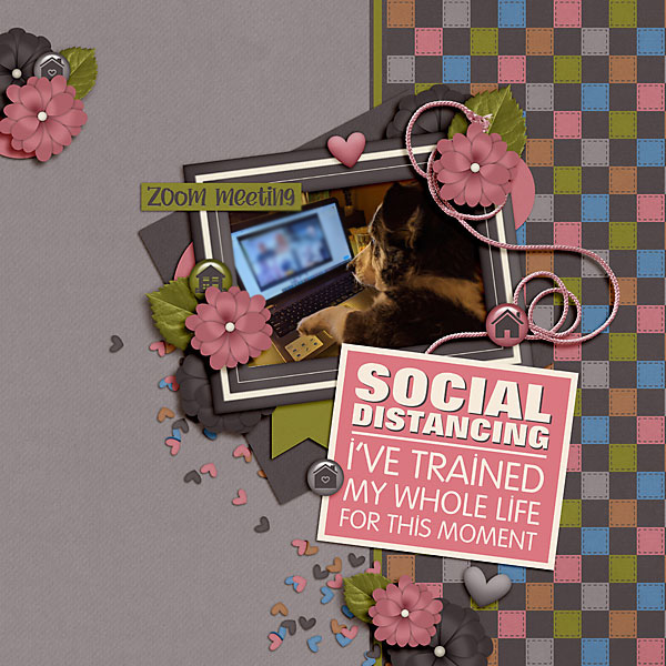 Social Distancing