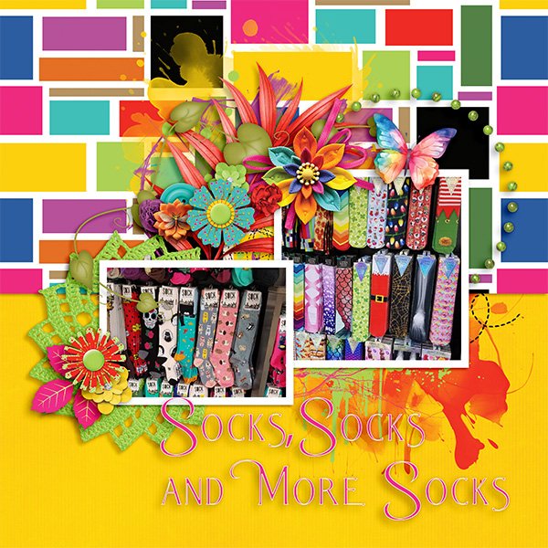 Socks and More Socks