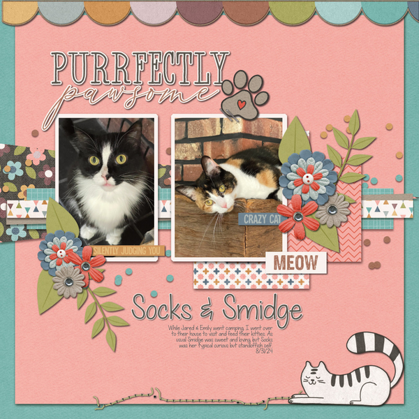Socks + Smidge 8-31-24