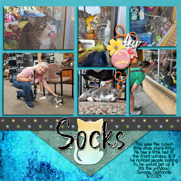 Socks