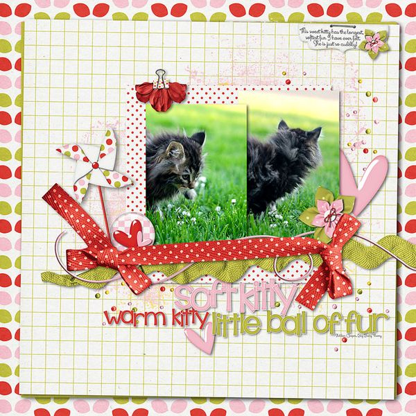 ~Soft Kitty~