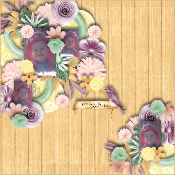 Soft Spring