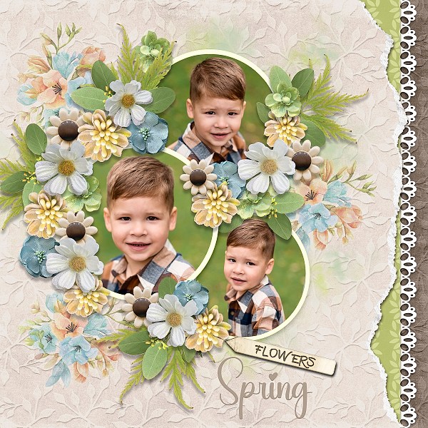 Softly Spring - Collection