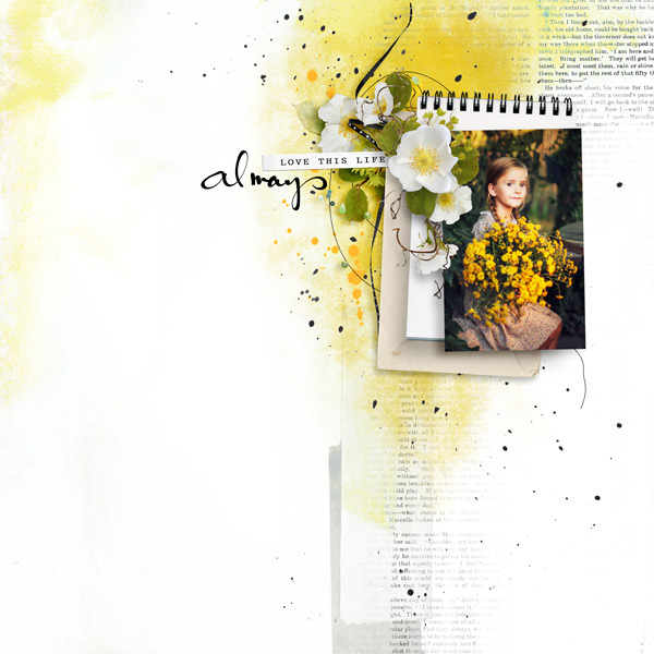 Softness by Natali designs