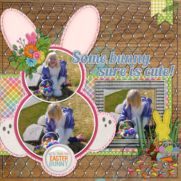 Some bunnys cute