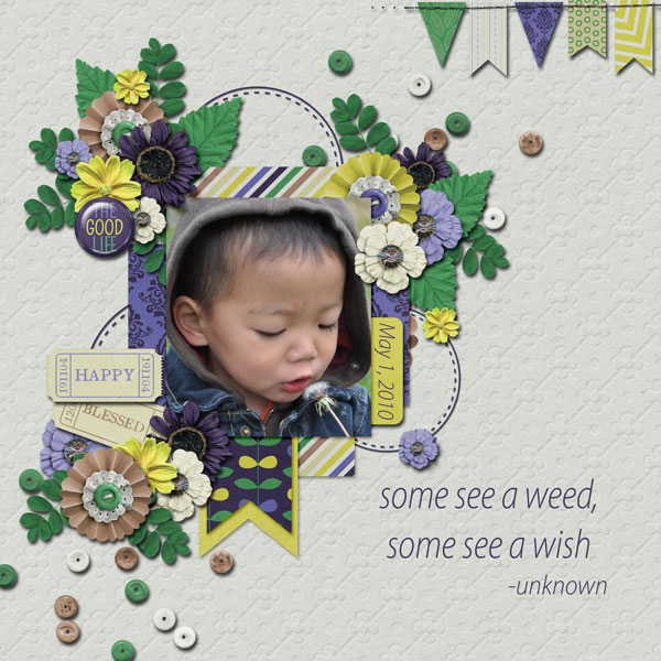 Some see a Wish