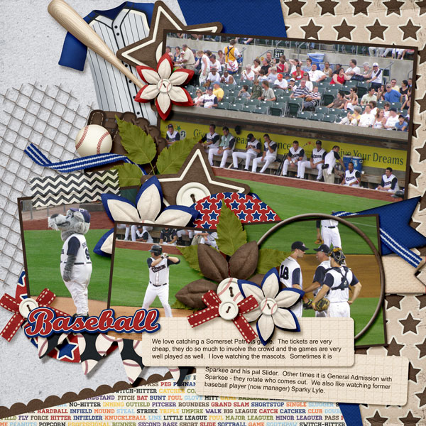 Somerset Patriots
