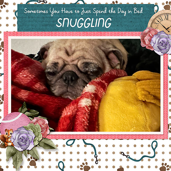 Sometimes You Have to Just Spend the Day in Bed Snuggling