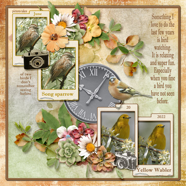 Song_Sparrow_and_Yellow_Warbler_small