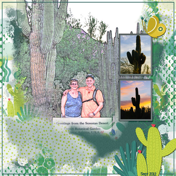 Sonoran Desert Garden