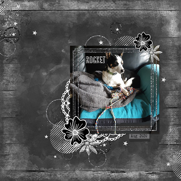 Sooky Dog