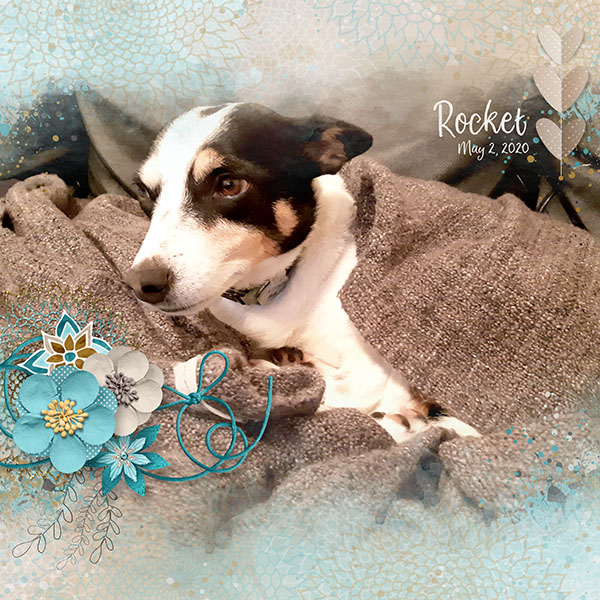 Sooky Rocket