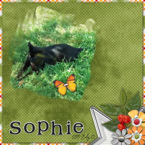 Sophie