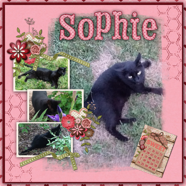 Sophie