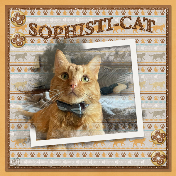 Sophisti-cat
