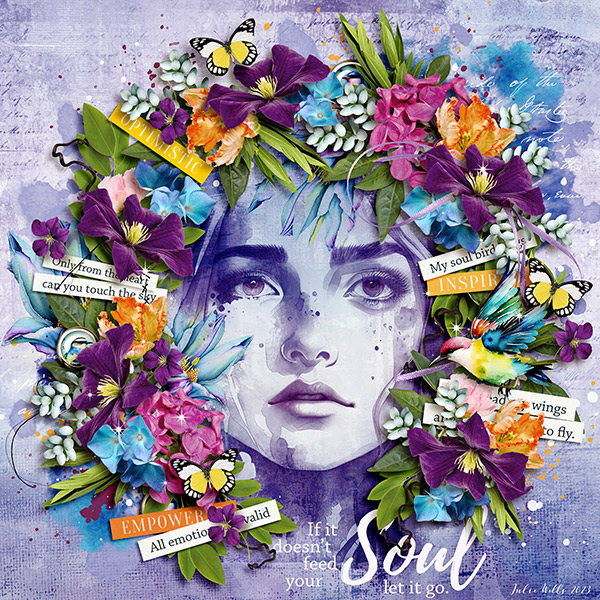 soul bird