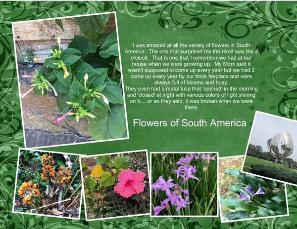 South America Flowers