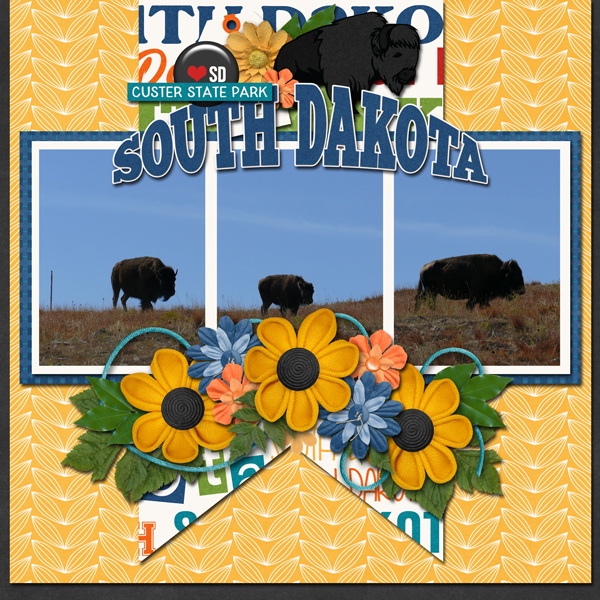 South Dakota