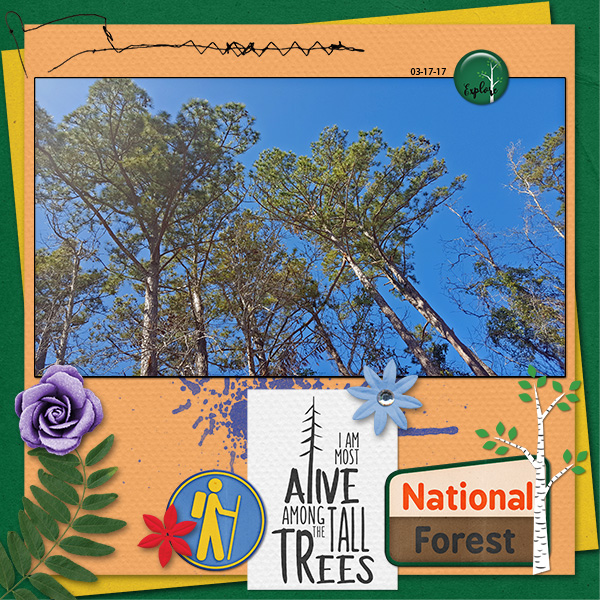 Southern Pines
