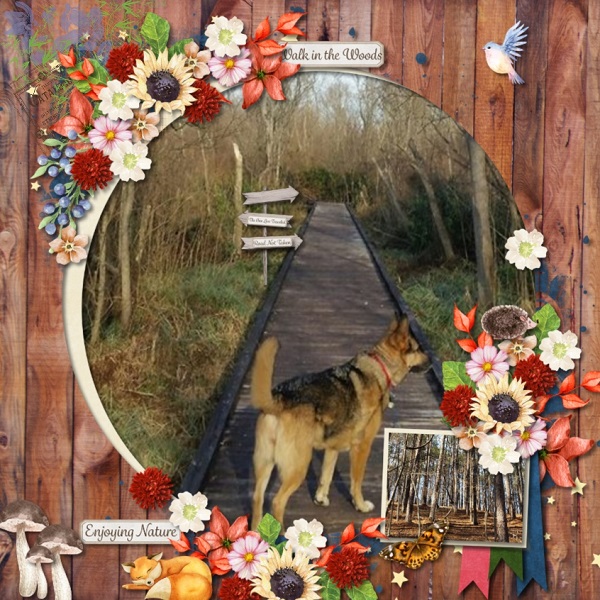 Southern Trails