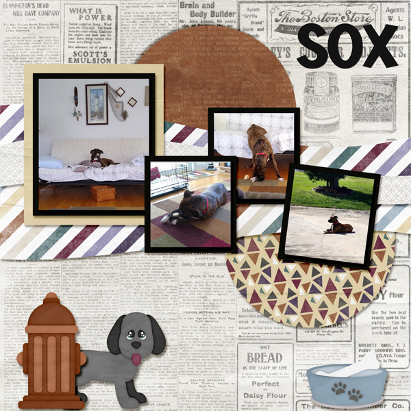 Sox Antics