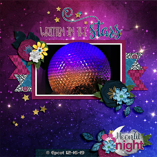 Spaceship Earth