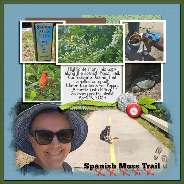 Spanish Moss Trail