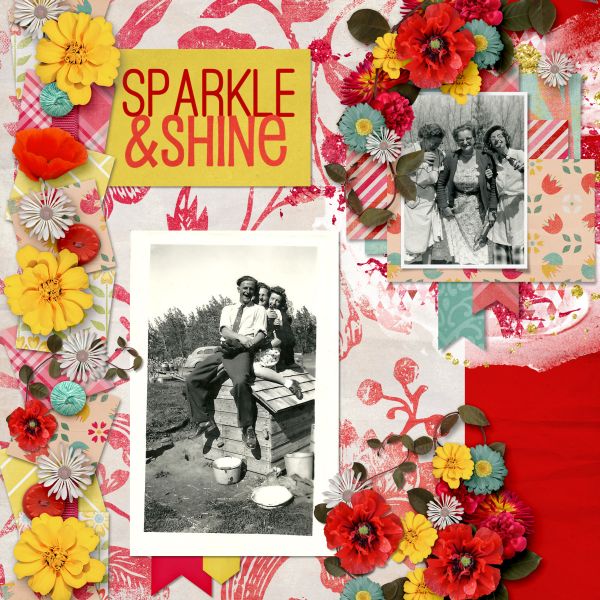 Sparkle and Shine
