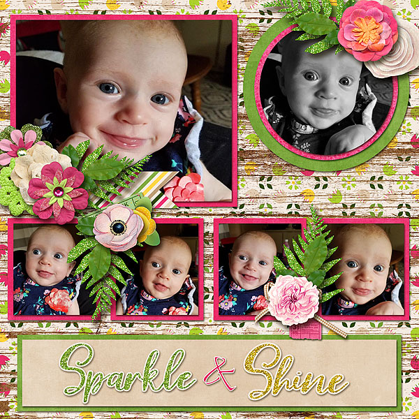 Sparkle + Shine