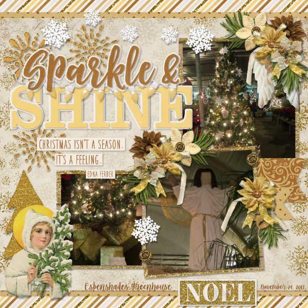 Sparkle + Shine