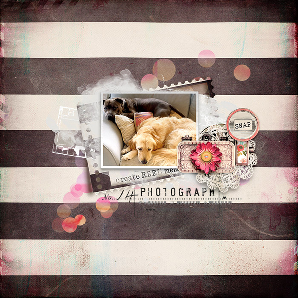 spd-capturethememories-Tracy