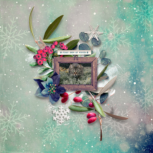 spd-celebratethechill_Tracy