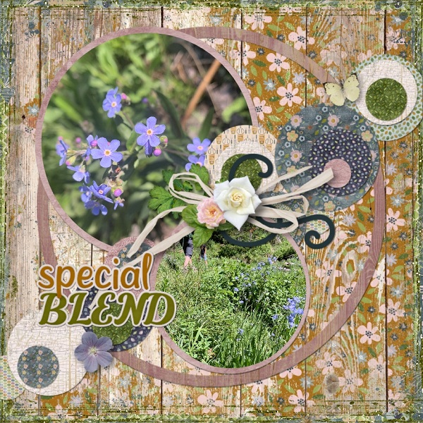 Special Blend